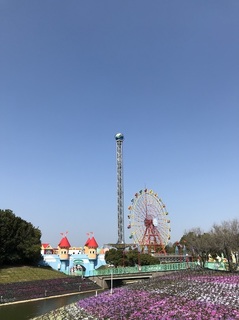 IMG_2387.JPG